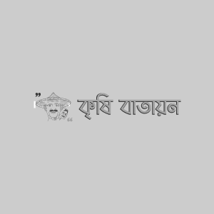 লিচুর মাইট বা মাকড়