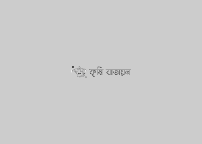 কৃষিতে বাংলাদেশের সম্ভাবনা কী?